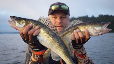Pike perch