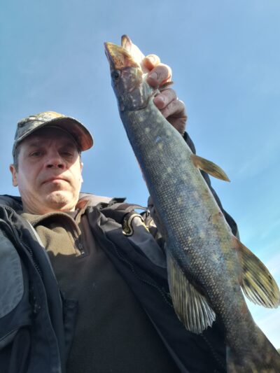 Northern Pike