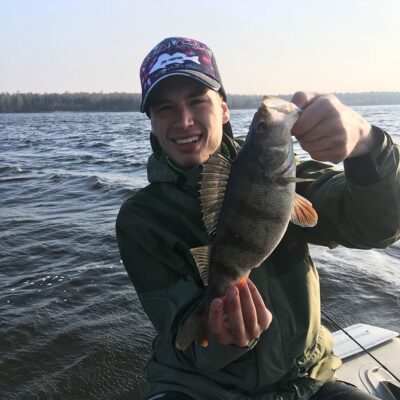 Eurasian perch, 0.7 kg
