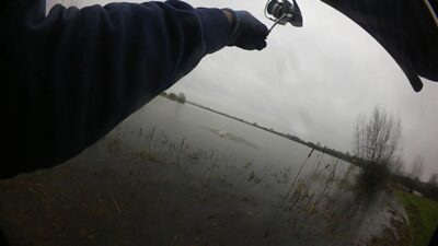 Northern Pike, 2.7 kg