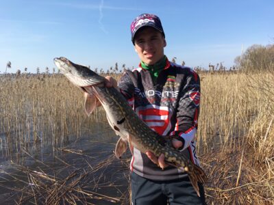 Northern Pike
