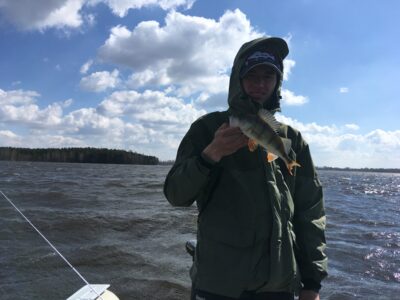 Eurasian perch, 0.4 kg