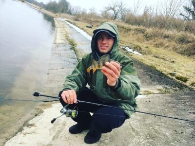 Eurasian perch