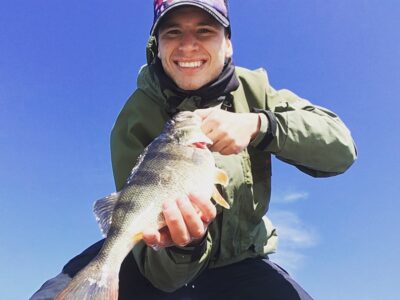 Eurasian perch, 0.8 kg
