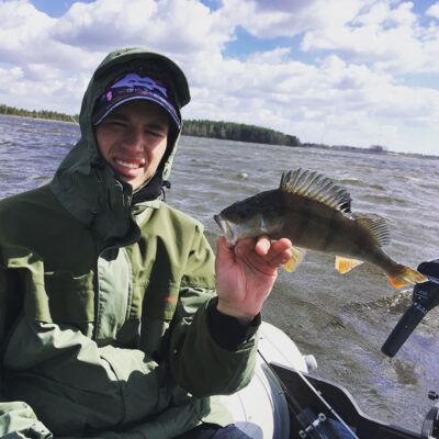 Eurasian perch, 0.4 kg