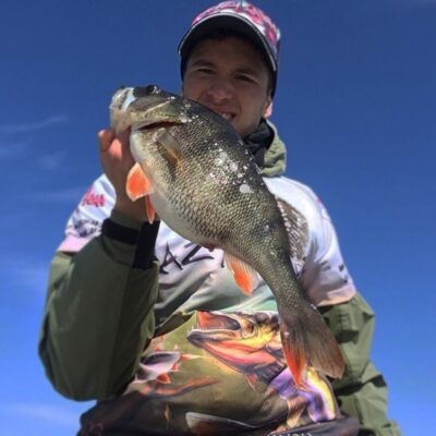 Eurasian perch, 1.0 kg