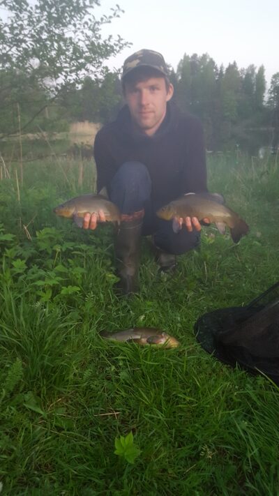 Tench ×3