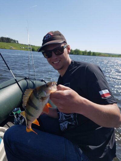 Eurasian perch