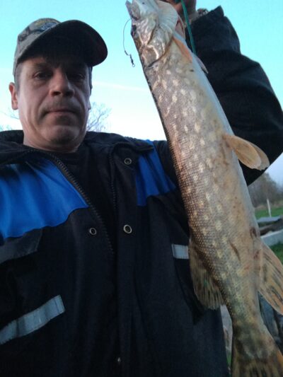 Northern Pike, 1.5 kg
