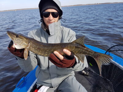 Northern Pike