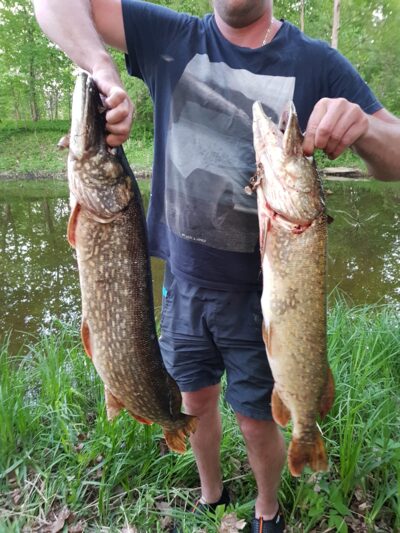 Northern Pike ×2