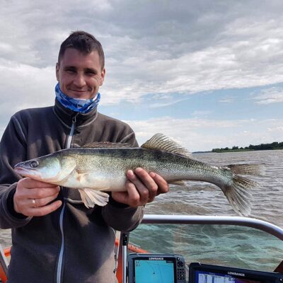 Pike perch