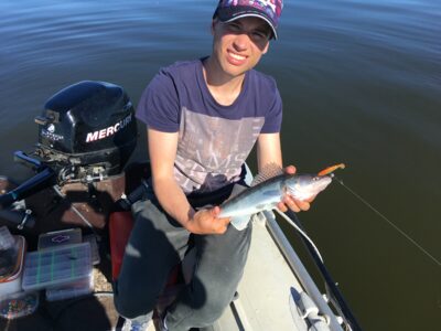 Pike perch
