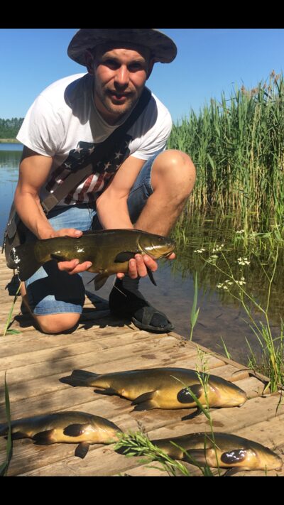 Tench ×2