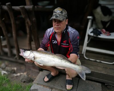 Pike perch, 2.7 kg