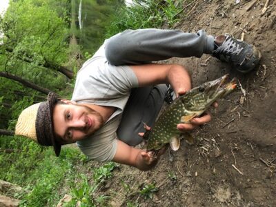 Northern Pike ×3