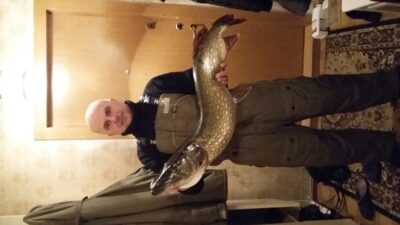 Northern Pike