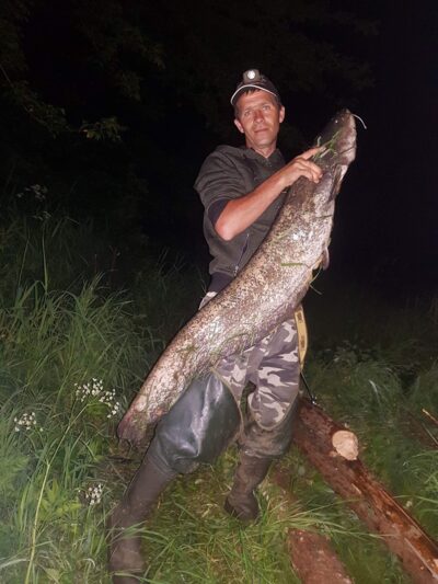 Wels catfish, 15.0 kg — Neman River