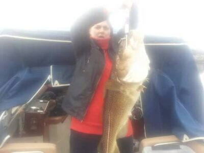 Atlantic cod