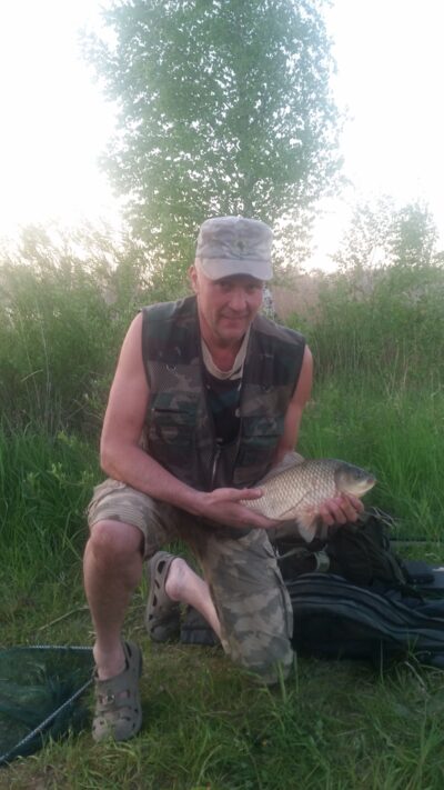 Prussian carp, 1.3 kg