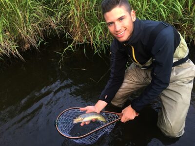 Brown Trout