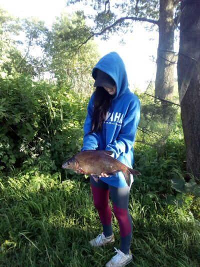 Carp bream ×3