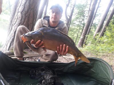 Mirror carp ×2