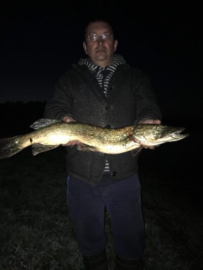Northern Pike, 4.2 kg — Pirdė