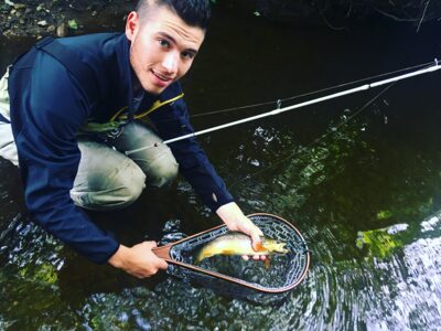 Brown Trout