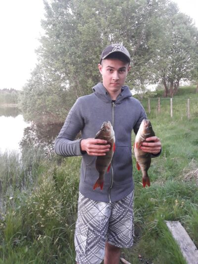 Eurasian perch, 1.1 kg