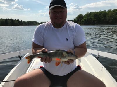 Eurasian perch, 0.9 kg — Vilnoja