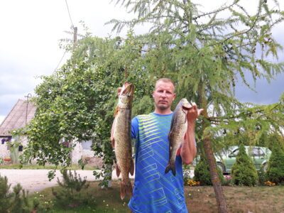 Northern Pike, 3.1 kg — Minija