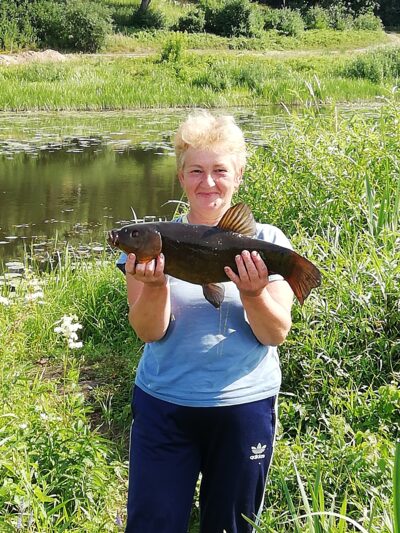 Tench, 2.5 kg