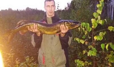 Northern Pike, 9.8 kg
