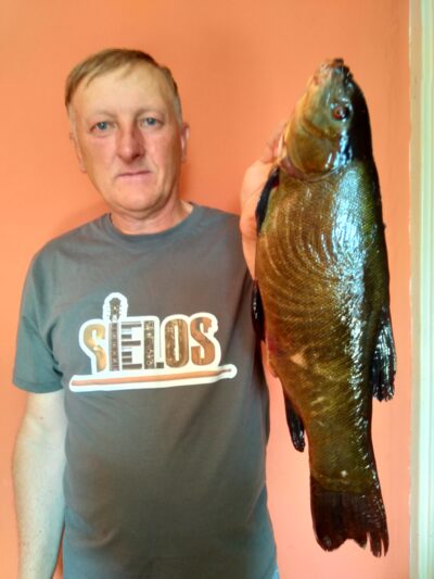 Tench, 1.7 kg