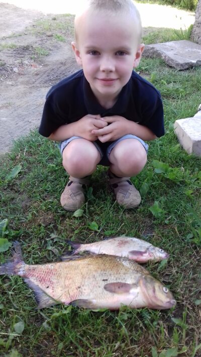 Carp bream, 1.7 kg