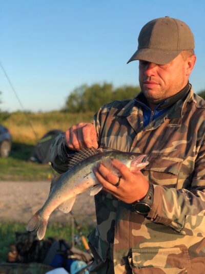 Pike perch, 1.3 kg — Skirvytė