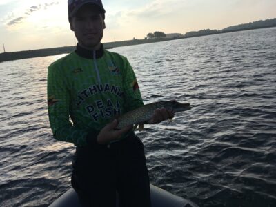 Northern Pike