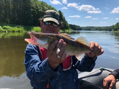 Pike perch, 1.3 kg — Neman River