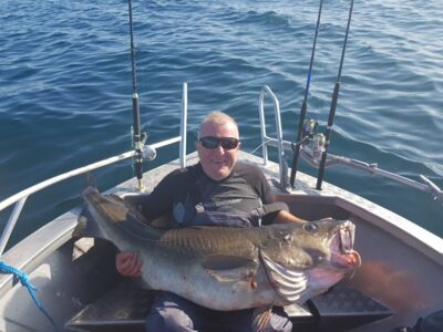 Atlantic cod