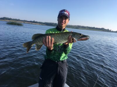 Northern Pike