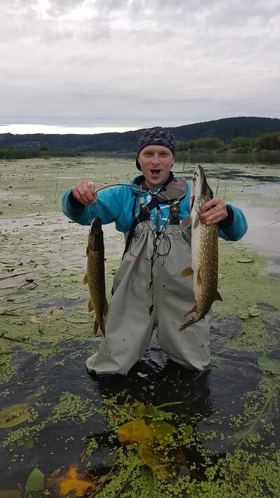 Northern Pike, 2.4 kg