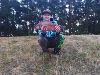 Carp bream, 2.3 kg