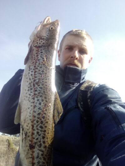 Atlantic salmon, 7.3 kg