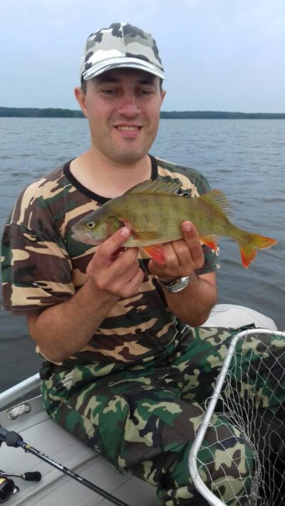 Eurasian perch