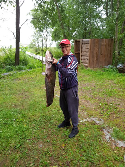 Wels catfish, 9.0 kg