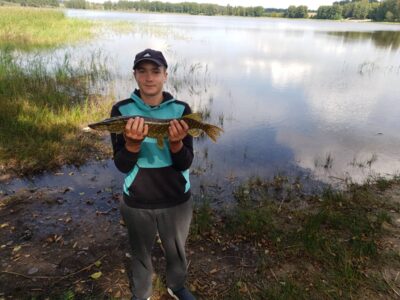 Northern Pike, 1.5 kg — Bridvaišis