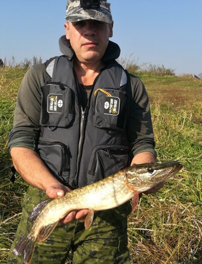 Northern Pike ×3