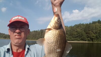 Prussian carp