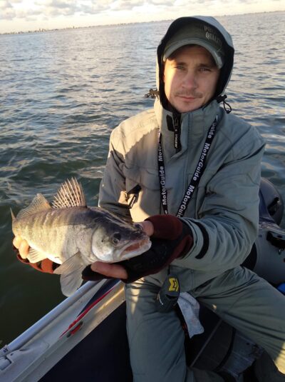 Pike perch
